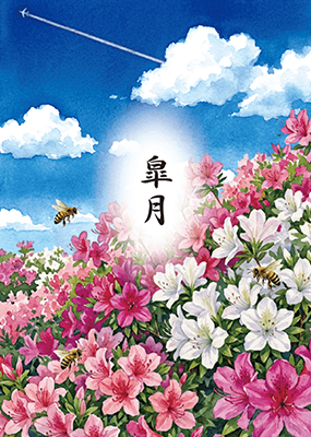 皐月